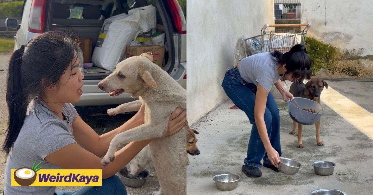 Communitycerita | weirdkaya original