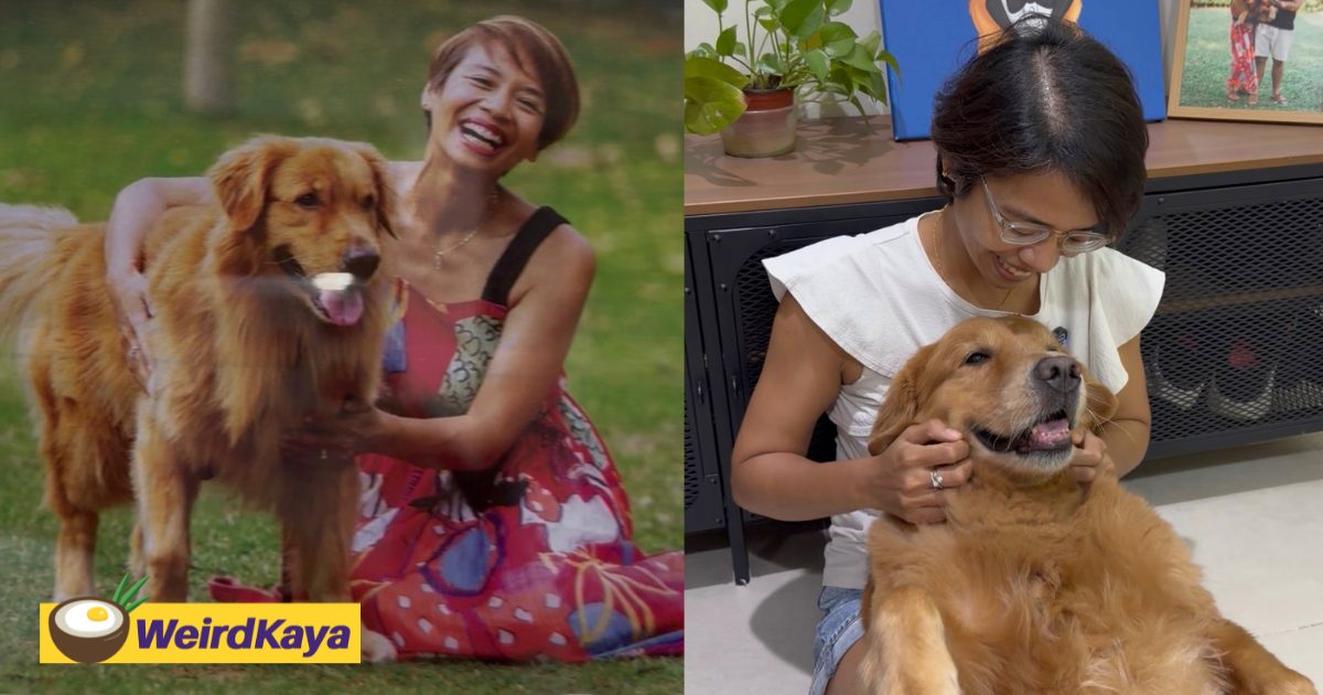 Communitycerita | weirdkaya original