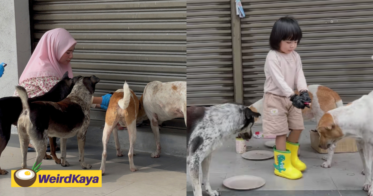 Communitycerita | weirdkaya original